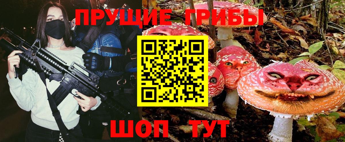 Нижний Тагил  Псилоцибиновые грибы MAGIC MUSHROOMS  Вход с VPN 