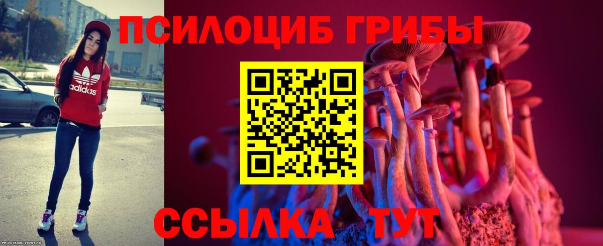 Галлюциногенные грибы мицелий Нижний Тагил
